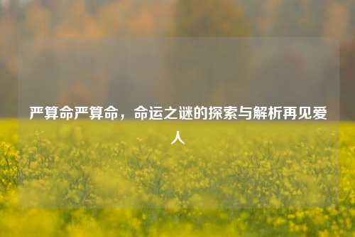 严算命严算命，命运之谜的探索与解析再见爱人