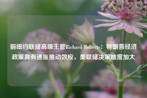 前纽约联储高级主管Richard Roberts：特朗普经济政策具有通胀推动效应，美联储决策难度加大