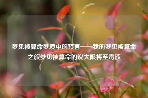 梦见被算命梦境中的预言——我的梦见被算命之旅梦见被算命的说大限将至毒液