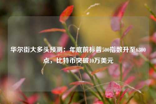 华尔街大多头预测：年底前标普500指数升至6300点，比特币突破10万美元