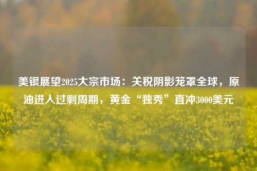 美银展望2025大宗市场：关税阴影笼罩全球，原油进入过剩周期，黄金“独秀”直冲3000美元