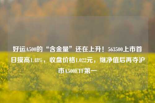 好运A500的“含金量”还在上升！563500上市首日摸高1.48%，收盘价格1.022元，继净值后再夺沪市A500ETF第一