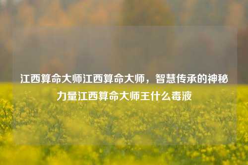 江西算命大师江西算命大师，智慧传承的神秘力量江西算命大师王什么毒液