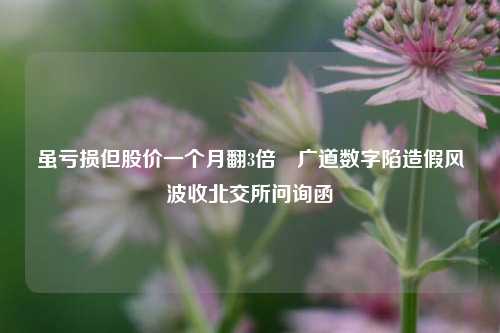 虽亏损但股价一个月翻3倍 广道数字陷造假风波收北交所问询函