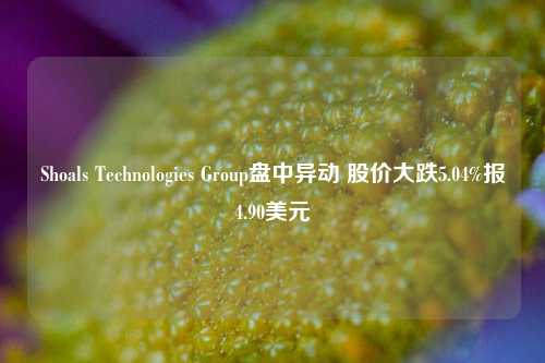 Shoals Technologies Group盘中异动 股价大跌5.04%报4.90美元