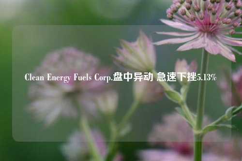 Clean Energy Fuels Corp.盘中异动 急速下挫5.13%