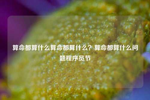 算命都算什么算命都算什么？算命都算什么问题程序员节