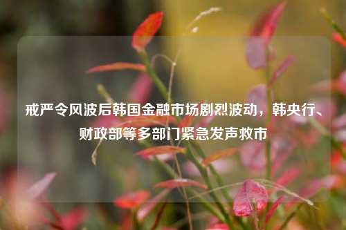 戒严令风波后韩国金融市场剧烈波动，韩央行、财政部等多部门紧急发声救市