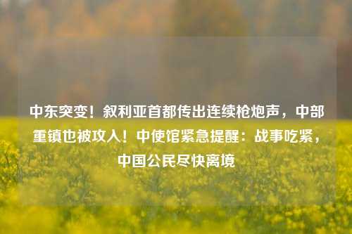 中东突变！叙利亚首都传出连续枪炮声，中部重镇也被攻入！中使馆紧急提醒：战事吃紧，中国公民尽快离境