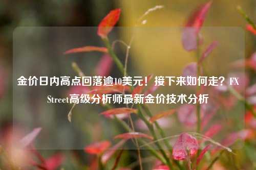 金价日内高点回落逾10美元！接下来如何走？FXStreet高级分析师最新金价技术分析