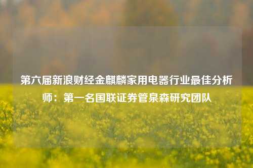 第六届新浪财经金麒麟家用电器行业最佳分析师：第一名国联证券管泉森研究团队