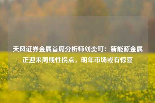 天风证券金属首席分析师刘奕町：新能源金属正迎来周期性拐点，明年市场或有惊喜