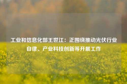 工业和信息化部王世江：正围绕推动光伏行业自律、产业科技创新等开展工作