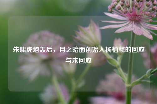 朱啸虎炮轰后，月之暗面创始人杨植麟的回应与未回应