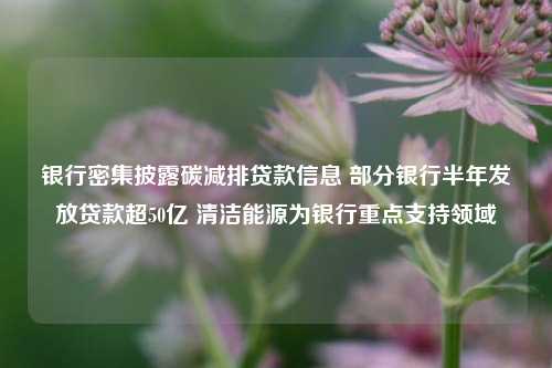 银行密集披露碳减排贷款信息 部分银行半年发放贷款超50亿 清洁能源为银行重点支持领域