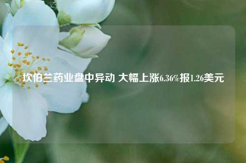 坎伯兰药业盘中异动 大幅上涨6.36%报1.26美元