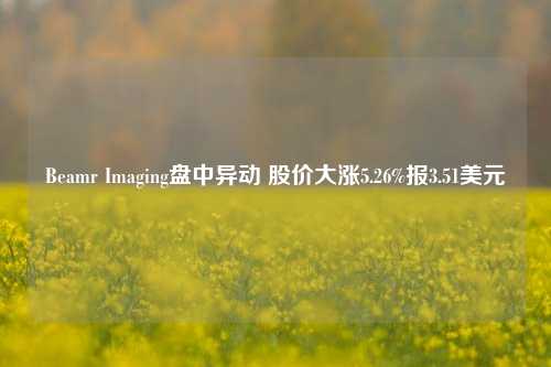 Beamr Imaging盘中异动 股价大涨5.26%报3.51美元