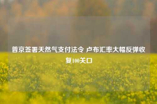 普京签署天然气支付法令 卢布汇率大幅反弹收复100关口