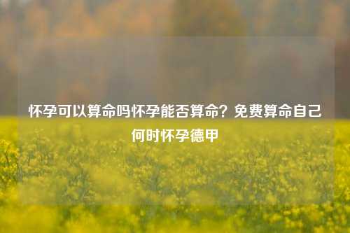 怀孕可以算命吗怀孕能否算命？免费算命自己何时怀孕德甲