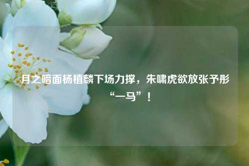 月之暗面杨植麟下场力撑，朱啸虎欲放张予彤“一马”！