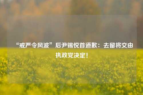 “戒严令风波”后尹锡悦首道歉：去留将交由执政党决定！