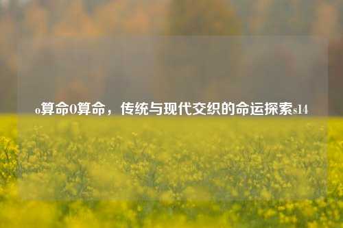 o算命O算命，传统与现代交织的命运探索s14