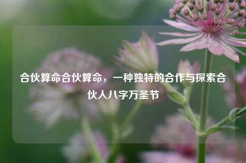 合伙算命合伙算命，一种独特的合作与探索合伙人八字万圣节