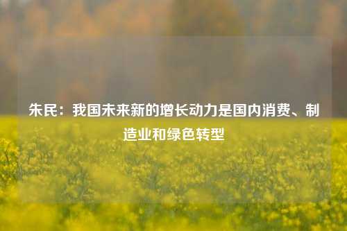 朱民：我国未来新的增长动力是国内消费、制造业和绿色转型