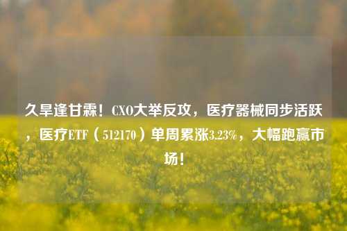 久旱逢甘霖！CXO大举反攻，医疗器械同步活跃，医疗ETF（512170）单周累涨3.23%，大幅跑赢市场！