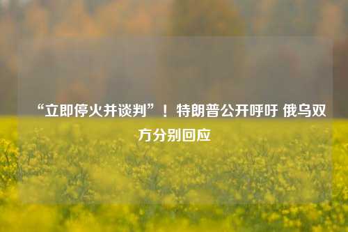 “立即停火并谈判”！特朗普公开呼吁 俄乌双方分别回应