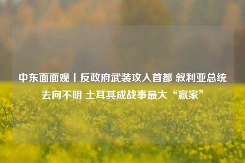 中东面面观丨反政府武装攻入首都 叙利亚总统去向不明 土耳其成战事最大“赢家”