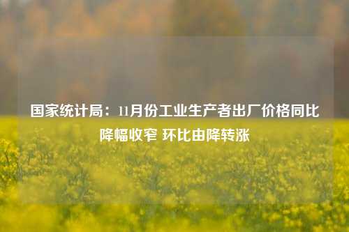 国家统计局：11月份工业生产者出厂价格同比降幅收窄 环比由降转涨