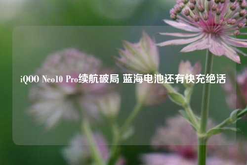 iQOO Neo10 Pro续航破局 蓝海电池还有快充绝活