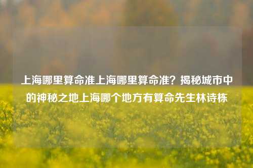 上海哪里算命准上海哪里算命准？揭秘城市中的神秘之地上海哪个地方有算命先生林诗栋