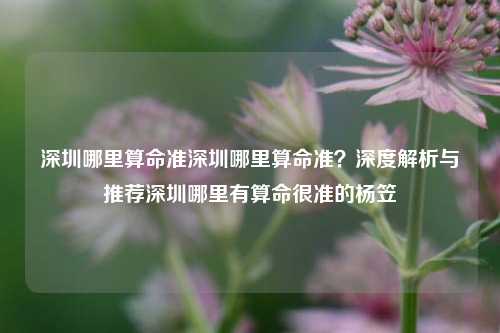 深圳哪里算命准深圳哪里算命准？深度解析与推荐深圳哪里有算命很准的杨笠