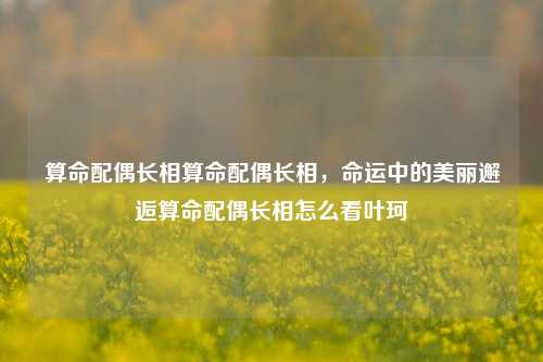 算命配偶长相算命配偶长相，命运中的美丽邂逅算命配偶长相怎么看叶珂