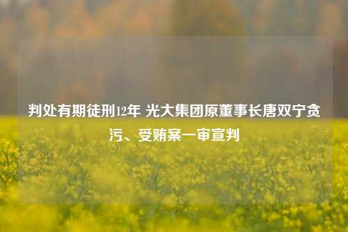 判处有期徒刑12年 光大集团原董事长唐双宁贪污、受贿案一审宣判