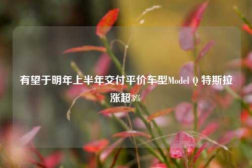 有望于明年上半年交付平价车型Model Q 特斯拉涨超3%