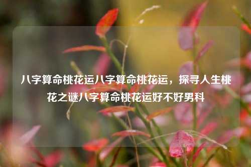 八字算命桃花运八字算命桃花运，探寻人生桃花之谜八字算命桃花运好不好男科