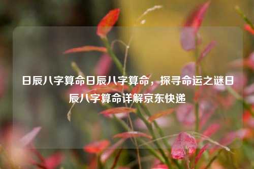 日辰八字算命日辰八字算命，探寻命运之谜日辰八字算命详解京东快递