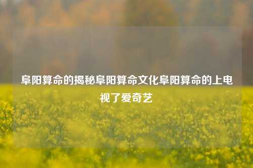 揭秘阜阳算命文化，看算命师如何登上电视舞台