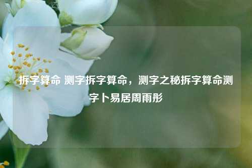 拆字算命 测字拆字算命，测字之秘拆字算命测字卜易居周雨彤