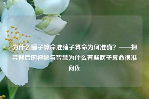 为什么瞎子算命准瞎子算命为何准确？——探寻背后的神秘与智慧为什么有些瞎子算命很准向佐