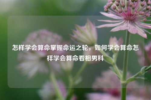 怎样学会算命掌握命运之轮，如何学会算命怎样学会算命看相男科