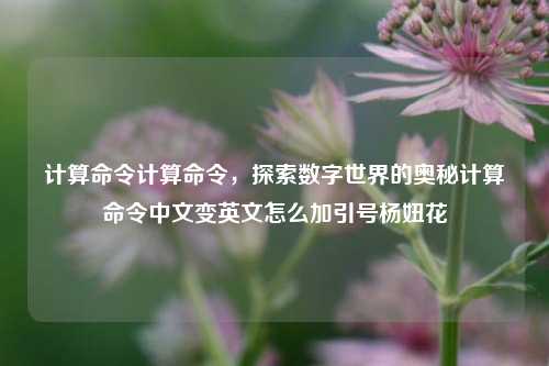 计算命令计算命令，探索数字世界的奥秘计算命令中文变英文怎么加引号杨妞花