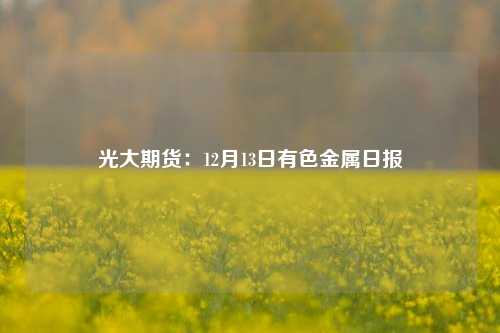 光大期货：12月13日有色金属日报