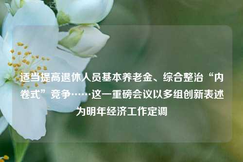 适当提高退休人员基本养老金、综合整治“内卷式”竞争……这一重磅会议以多组创新表述为明年经济工作定调