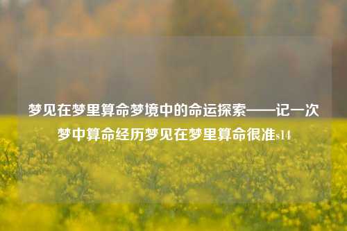 梦见在梦里算命梦境中的命运探索——记一次梦中算命经历梦见在梦里算命很准s14