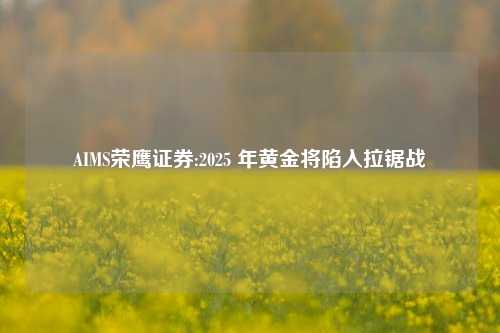 AIMS荣鹰证券:2025 年黄金将陷入拉锯战