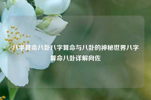 八字算命八卦八字算命与八卦的神秘世界八字算命八卦详解向佐